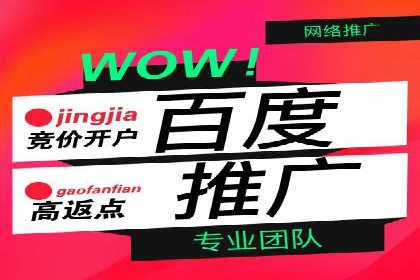 sem竞价托管代运营——广告优化的典范案例