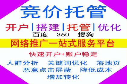 某某企业SEM推广成功案例：打造品牌营销新模式
